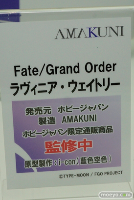 ワンダーフェスティバル 2019［夏］ フィギュア ホビージャパン グリムアロエ 水城ゆきかぜ 眠鬼 ソフィー ネルケ スカサハ 大褐色時代 ホワイトハート 29