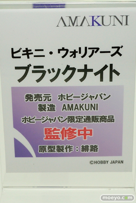 ワンダーフェスティバル 2019［夏］ フィギュア ホビージャパン グリムアロエ 水城ゆきかぜ 眠鬼 ソフィー ネルケ スカサハ 大褐色時代 ホワイトハート 39