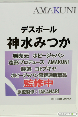 ワンダーフェスティバル 2019［夏］ フィギュア ホビージャパン グリムアロエ 水城ゆきかぜ 眠鬼 ソフィー ネルケ スカサハ 大褐色時代 ホワイトハート 41