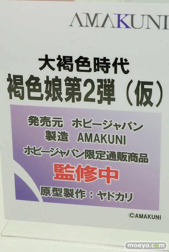 ワンダーフェスティバル 2019［夏］ フィギュア ホビージャパン グリムアロエ 水城ゆきかぜ 眠鬼 ソフィー ネルケ スカサハ 大褐色時代 ホワイトハート 45
