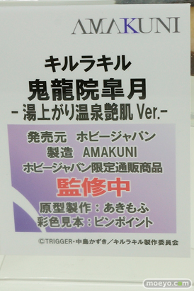 ワンダーフェスティバル 2019［夏］ フィギュア ホビージャパン グリムアロエ 水城ゆきかぜ 眠鬼 ソフィー ネルケ スカサハ 大褐色時代 ホワイトハート 54