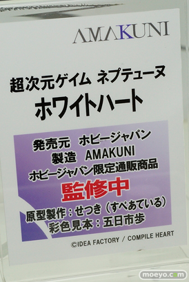 ワンダーフェスティバル 2019［夏］ フィギュア ホビージャパン グリムアロエ 水城ゆきかぜ 眠鬼 ソフィー ネルケ スカサハ 大褐色時代 ホワイトハート 59
