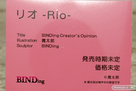 BINDing リオ -Rio- 魔太郎 フィギュア エロ キャストオフ 12