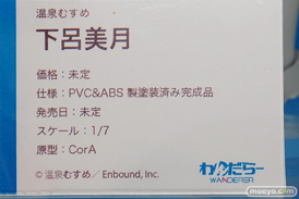 ワンダーフェスティバル 2019［夏］ フィギュア わんだらー 六郷沙織 モモ 温泉むすめ 26