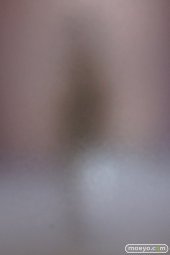 ワンダーフェスティバル 2019［夏］ フィギュア あみあみ 森久保乃々 ル・ファンタスク 朝霧陽子 新条アカネ 宝多六花 ハチロク 30