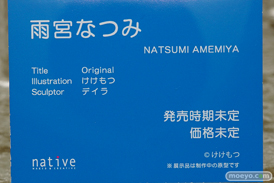 ワンダーフェスティバル 2019［夏］ フィギュア ネイティブ 雨宮なつみ けけもつ デイラ エロ キャストオフ 15