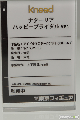 ワンダーフェスティバル 2019［夏］ 東京フィギュア アワートレジャー ストロンガー リコルヌ kneed MIMEYOI プレックス ホビーマックスジャパン 19