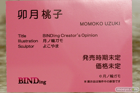 ワンダーフェスティバル 2019［夏］ BINDing 卯月桃子 よこやま 月ノ輪ガモ エロ キャストオフ フィギュア 16