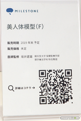 ワンダーフェスティバル 2019［夏］ マイルストン 　藤ちょこ 犬張子 G41 凜 レキシントン グレンラガン 08