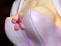 「ワンダーフェスティバル 2019［夏］」 様々なディーラーブースの様子「まるちゅうまる」「ユキシロ」「王者の剣」