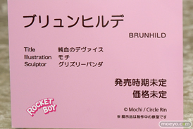 ロケットボーイ 純潔のデヴァイス ブリュンヒルデ モチ エロ グリズリーパンダ フィギュア 15