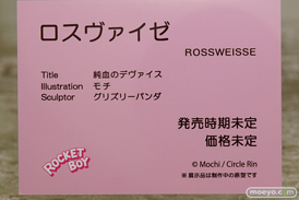 ロケットボーイ 純潔のデヴァイス ロスヴァイゼ モチ エロ グリズリーパンダ フィギュア 13