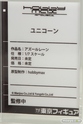 C3AFA TOKYO 2019　東京フィギュア フィギュア 22