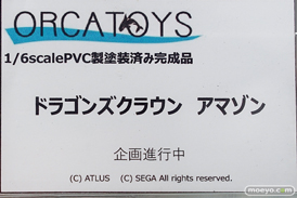 秋葉原の新作ｆギュア展示の様子 あみあみ 秋葉原ラジオ会館店 20
