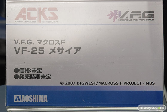 ワンダーフェスティバル 2019［夏］ フィギュア アオシマ 謎のヒロインXオルタ 03