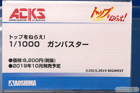 ワンダーフェスティバル 2019［夏］ フィギュア アオシマ 謎のヒロインXオルタ 10