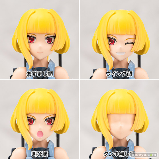 アオシマ ACKS V.F.G. マクロスF VF-25S メサイア プラモデル 07