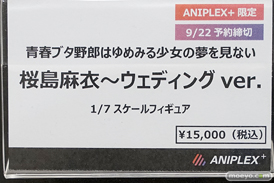 秋葉原の新作フィギュア展示の様子 10