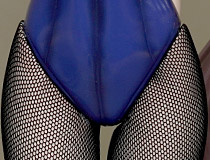 姉弟子、奇跡のバニースタイルで登場！フリーイング新作美少女フィギュア「B-STYLE りゅうおうのおしごと！ 空銀子 バニーVer.」予約受付開始！【2019夏合同展示会】