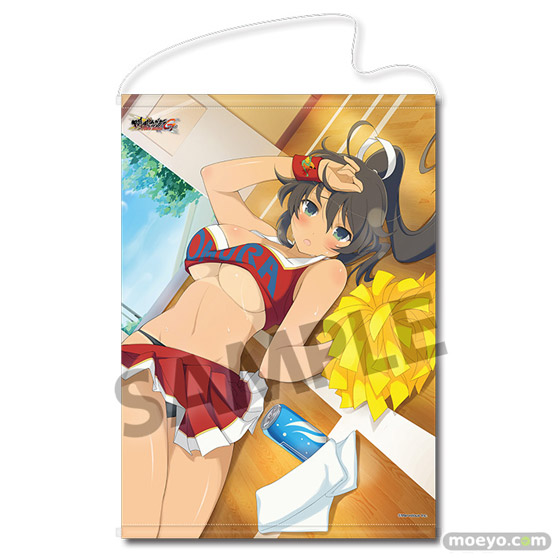 ホビーストック 閃乱カグラ NewWave Gバースト B2タペストリー 焔 チアガールver. 詠 バニーver. 日影 水着ver. 麗王 ドレスver.01