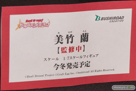 第11回カフェレオキャラクターコンベンション フィギュア オルカトイズ ブロッコリー アルカディア アクアマリン リボルブ ブシロード グッドスマイルカンパニー 35