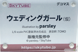 スカイチューブ ウェディングガール（仮） illustration parsley TOMO エロ フィギュア キャストオフ 12