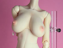 ｢伽栖魅(カスミ)ボディ(ヘッド無し)：ソフトスキンver.｣ 期間限定予約受付開始！