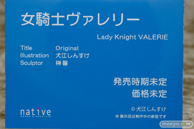 ネイティブ 女騎士ヴェレリー フィギュア 犬江しんすけ 榊馨 エロ キャストオフ 10