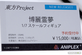 メガホビEXPO 2019 Autumn アニプレックス ストロンガー ホビージャパン 14