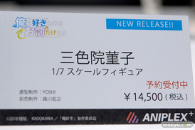 メガホビEXPO 2019 Autumn アニプレックス ストロンガー ホビージャパン 21