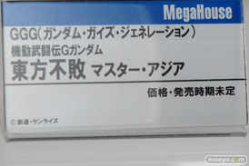 メガホビEXPO 2019 Autumn メガハウス 29