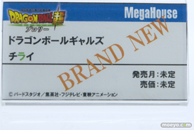 メガホビEXPO 2019 Autumn メガハウス 40