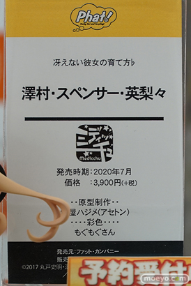 秋葉原の新作フィギュア展示の様子43