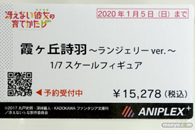 秋葉原の新作フィギュア展示の様子 アニプレックスプラス アキバ☆ソフマップ1号店 ボークスホビー天国 06