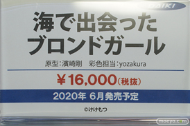 秋葉原の新作フィギュア展示の様子 コトブキヤ　ソフマップ　ボークス  14