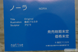 ネイティブ ノーラ 島田フミカネ アビラ フィギュア エロ キャストオフ 14