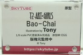 スカイチューブ アルファマックス  宇佐田みみ 天宮凛 エロ フィギュア キャストオフ  ワンダーフェスティバル 2020［冬］ 46