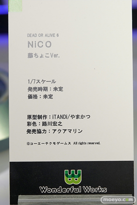 アクアマリン Wonderful Works フィギュア ワンダーフェスティバル 2020［冬］ 27