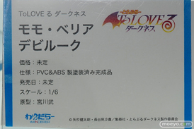 わんだらー フィギュア ワンダーフェスティバル 2020［冬］ 09
