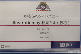 2020 冬 ホビーメーカー合同展示会 東京フィギュア ダイキ工業 ウェーブ Q-six オルカトイズ オーキッドシード 回天堂　レチェリー わんだらー F.W.A.T ベルファイン 34
