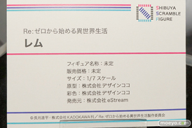 eStream フィギュア ワンダーフェスティバル 2020［冬］ 09