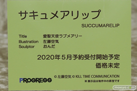 PROGRESS 愛聖天使ラブメアリー サキュメアリップ 左藤空気 おんだ エロ フィギュア ワンダーフェスティバル 2020［冬］ 12