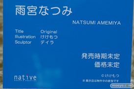 ネイティブ 雨宮なつみ けけもつ デイラ フィギュア エロ ワンダーフェスティバル 2020［冬］ 12