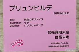 ロケットボーイ 純潔のデヴァイス ブリュンヒルデ モチ グリズリーパンダ  フィギュア ワンダーフェスティバル 2020［冬］ 14