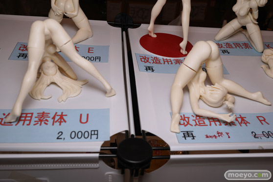 画像　フィギュア　サンプル　レビュー　ワンダーフェスティバル 2020［冬］ D-ファルス はこむす 林檎連盟 04