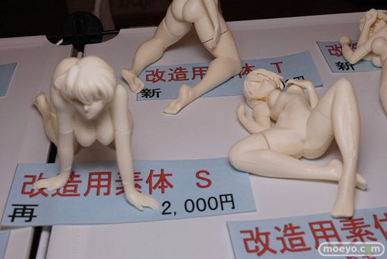 画像　フィギュア　サンプル　レビュー　ワンダーフェスティバル 2020［冬］ D-ファルス はこむす 林檎連盟 05