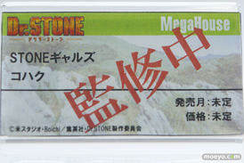 メガハウス STONEギャルズ コハク フィギュア 11