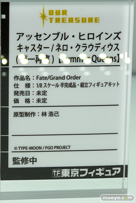 アワートレジャー アセンブル・ヒロインズ Fate/Grand Order キャスター/ネロ・クラウディウス（第一再臨）【Summer Queens】  林浩己 フィギュア ワンダーフェスティバル 2020［冬］　09