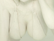 ウェーブ新作美少女フィギュア「超音戦士ボーグマン アニス・ファーム」製作中原型が展示！【WF2020冬】