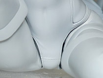 プラスワン新作美少女フィギュア「Fate/EXTRA ネロ・クラウディウス＆玉藻の前 TYPE-MOON Racing ver.」監修中原型が展示！【WF2020冬】